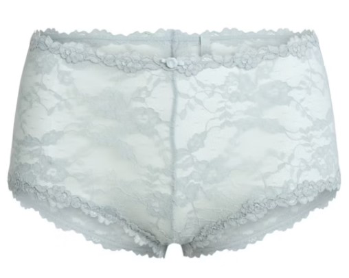 Stretch Lace Boy Short – Mercury