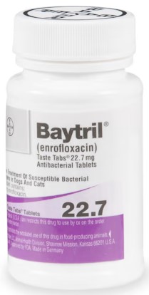 baytril-227-mg-taste-tab-tablets