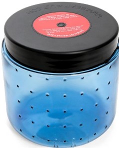 bearvault-bv450-jaunt-bear-canister