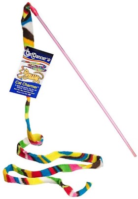 cat-dancer-cat-charmer