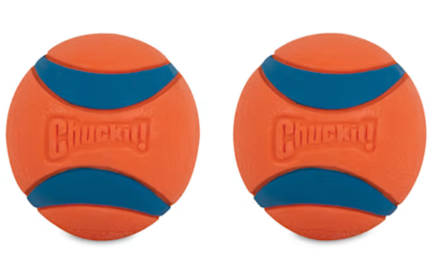 Chuckit-Ultra-Ball-Dog-Toy