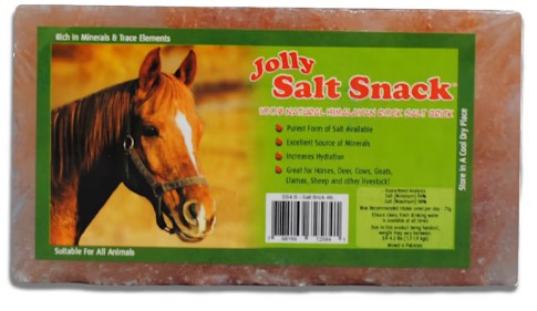 horsemens-pride-salt-brick-horse-treats