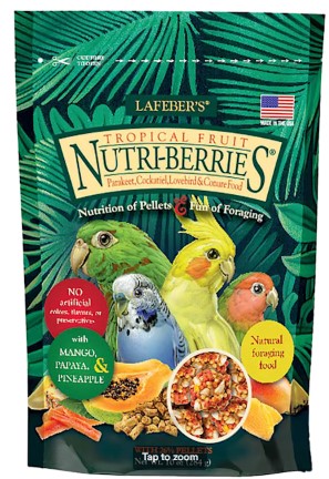 lafebers-tropical-fruit-nutri-berries