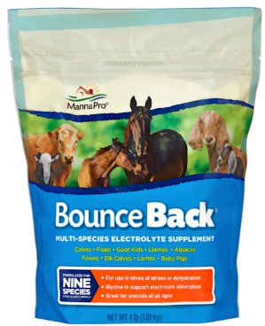 manna-pro-bounce-back