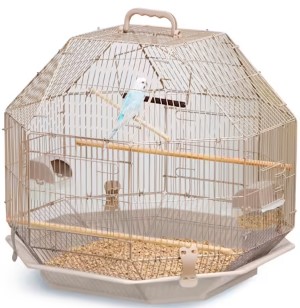 you-and-me-parakeet-octagon-cage