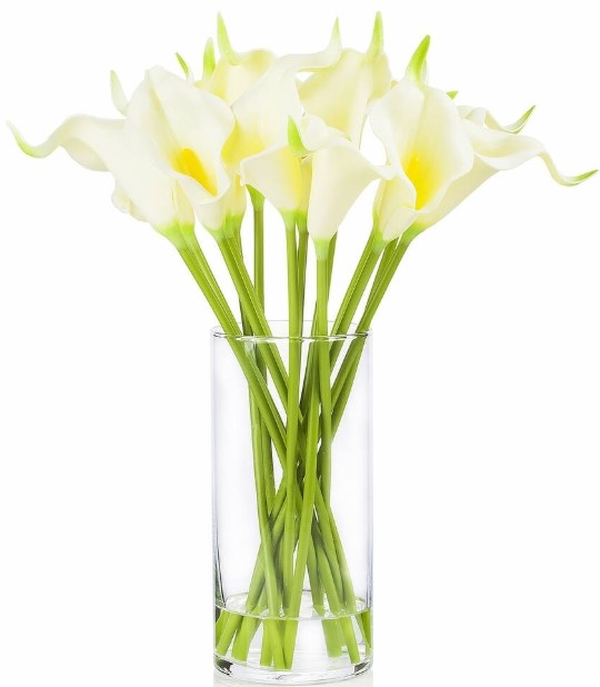 fourth-wing-by-rebecca-yarros-hardcover