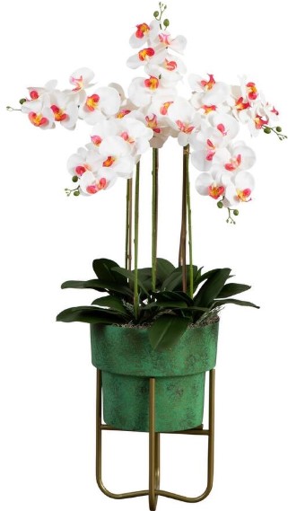 dr-seuss-s-abc-book-cd-beginner-books-read-along-book-audio-by-dr-seuss-mixed-media-product