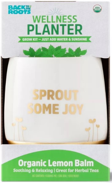 gorilla-carts-poly-garden-dump-cart-with-easy-to-assemble-steel-frame-camping-beach-wagon