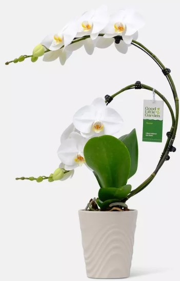 cuisinart-classic-3-5qt-stainless-steel-saute-38-steamer-set-with-helper-handle-and-cover-83-3