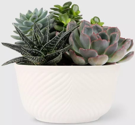 maytag-1-3-cu-ft-microwave-oven