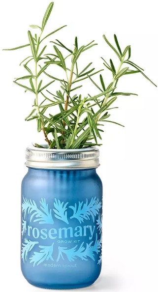 12-in-1-multi-functional-trimming-tool-garden-tools-shears-gardening-tools-system-with-pole-saw-hedge-trimmer