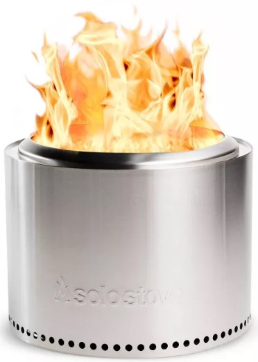 ponytail-palm-1pc-national-plant-network