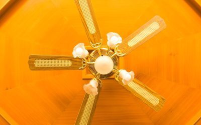 Customer-Favorite Ceiling Fans and Lights for Brighter Rooms