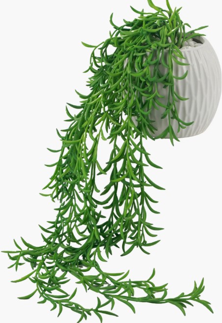 tonies-disney-the-jungle-book-audio-play-figurine