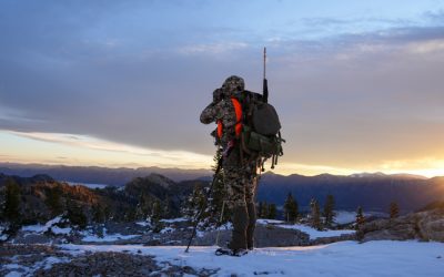 Open Season Staples: Field-Ready Gear Built for the Long Haul