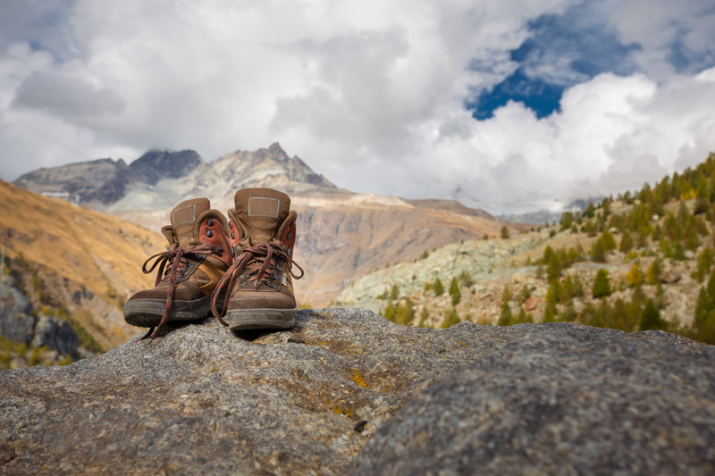 Best All-Season Climbing Shoes for Every Terrain
