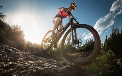 Top 10 Mountain Bike Brands You Should Know About