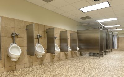 Best No-Frills Toilets That Still Get the Job Done