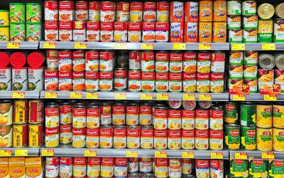 Meal Prep for the Real World: Healthy Options for Busy Adults