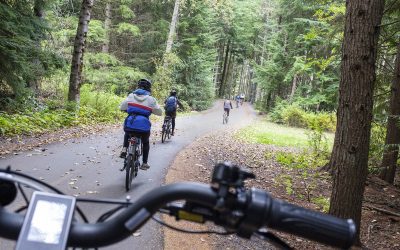 Most Recommended Electric Bikes for Effortless Trail Riding